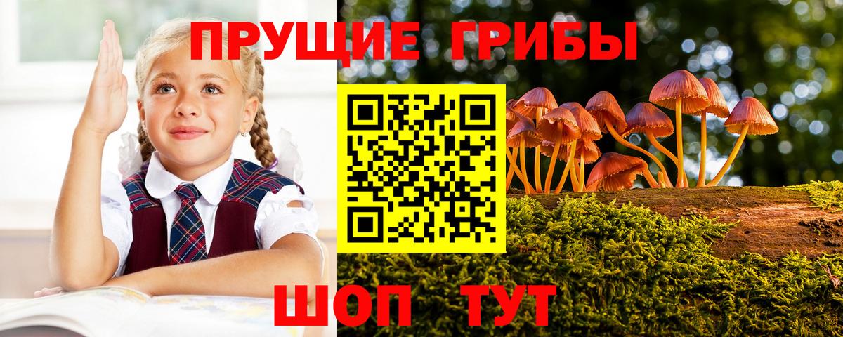 Саратов  Галлюциногенные грибы GOLDEN TEACHER  Вход с VPN  Галлюциногенные грибы ЛСД 